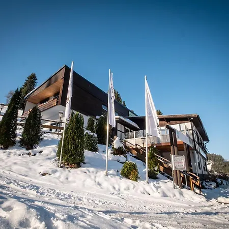 With Lift Right Next To The House Tatil Evi Winterberg